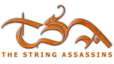 TSA - The String Assassins